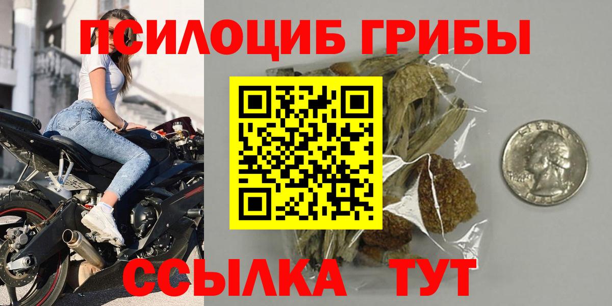 Галлюциногенные грибы Psilocybine cubensis  Вход с VPN  Черкесск 